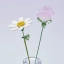 April-Birth-Flower-Gift-–-Handmade-Glass-Sweet-Pea-&-White-Daisy-Set