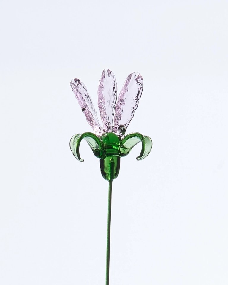 April Birth Flower Pea Blossom – Handmade Glass Keepsake with Shapable Vines, Graduation or Memory Gift (2)
