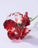 August Glass Birthflower – Handmade Poppy with Flame Petals, Gift of Remembrance and Courage (2)