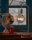 Large Decorative Customized Hanging G125 Globe LED Bulb, E27, New Design, Industrial Globe 5W Filament Light (2)