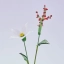 December Birth Flower Handmade Glass White Narcissus & Holly Set – 2-Stem Birthday Gift