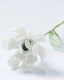 Glass Birth Flower Art – Handcrafted Marigold Birthday Gift for Her, Friends, and Loved Ones (2)