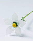 Glass Narcissus Flower – December Birth Month Keepsake, Adjustable Stem, Symbolizing Self-Love and Quiet Reflection (2)