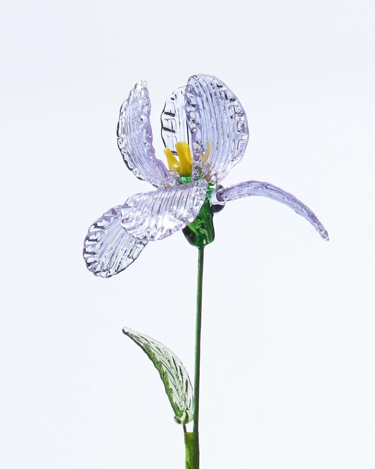 Handcrafted Purple Iris – February Birth Flower, Meaningful Gift for Celebrations or Agreements (2)