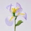 Handmade Glass Iris Flower, Single Stem Keepsake Gift – 10.24 in