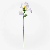 Handmade Glass Iris Flower, Single Stem Keepsake Gift – 10.24 in (2) Handmade Glass Iris Flower, Single Stem Keepsake Gift – 10.24 in (2)