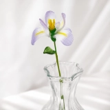 Handmade Glass Iris Flower, Single Stem Keepsake Gift – 10.24 in (6) Handmade Glass Iris Flower, Single Stem Keepsake Gift – 10.24 in (6)