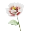 Handmade Glass Peony Flower, Blush White Art Glass Single Stem Flower Gift for Home Decor