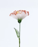 Handmade Glass Carnation – January Birth Flower, Symbol of Love and Gratitude, Ideal for Mother’s Day, Teachers, or Anniversaries (2)