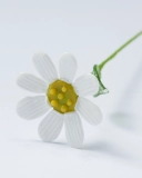 Handmade Glass Daisy – April Birth Month Flower Sculpture, Timeless Birthday Keepsake Gift for Her, Mom, or Friend (2)