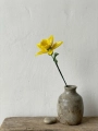 Customer reviews: Handmade Glass Yellow Daffodil Flower – Single Stem Floral Gift for Home Decor Customer reviews: Handmade Glass Yellow Daffodil Flower – Single Stem Floral Gift for Home Decor