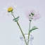 January Birth Flower Handmade Glass Flower Set – Carnation & Snowdrop Gift, 2 Stems