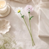 January Birth Flower Handmade Glass Flower Set – Carnation & Snowdrop Gift, 2 Stems (4) January Birth Flower Handmade Glass Flower Set – Carnation & Snowdrop Gift, 2 Stems (4)