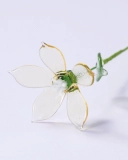 June Birth Month Glass Honeysuckle – Artistic Keepsake of Bonded Love and Devotion (2)