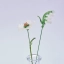 Handmade glass May birth flower set with camellia and white lily of the valley stems