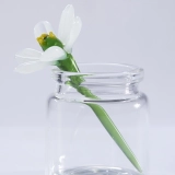 Mini December White Narcissus & Holly Glass Vase Set – Handmade 3-Piece Keepsake (8) Mini December White Narcissus & Holly Glass Vase Set – Handmade 3-Piece Keepsake (8)