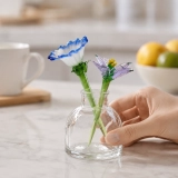 Mini Aster & Morning Glory Glass Vase – 3-Piece September Keepsake (5) Mini Aster & Morning Glory Glass Vase – 3-Piece September Keepsake (5)