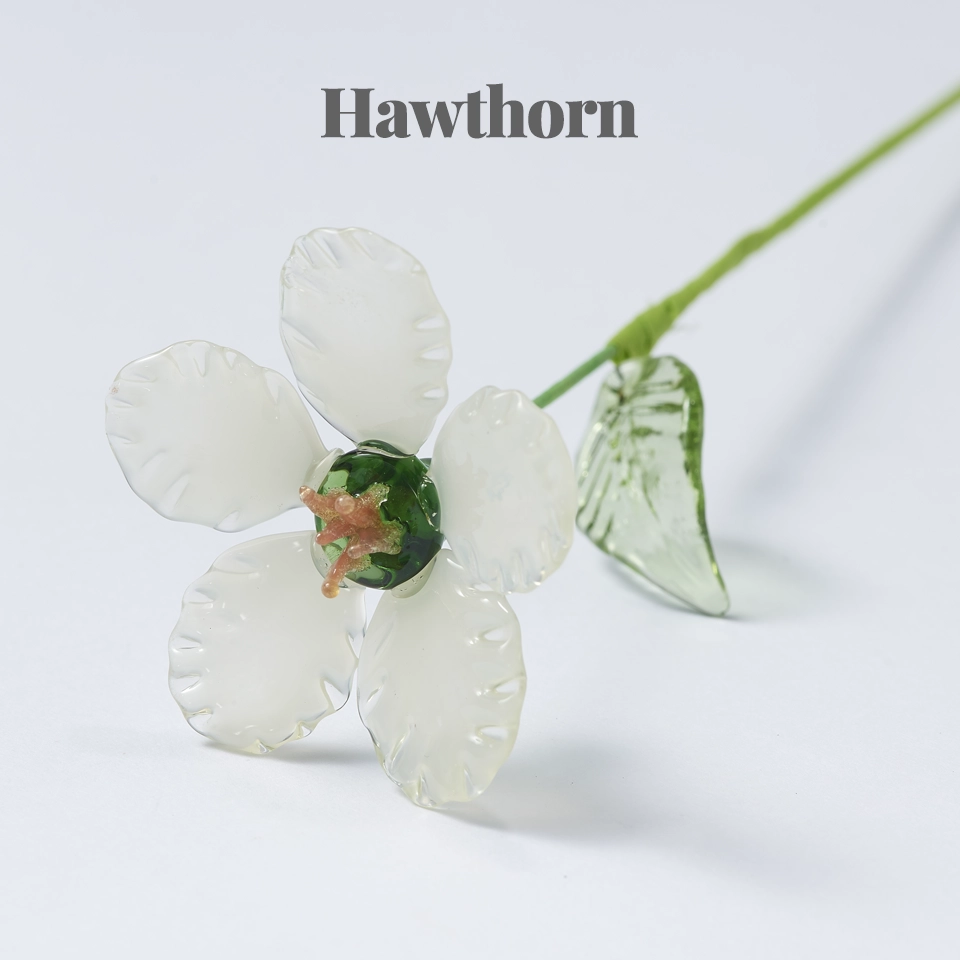 Please select the flower type: Hawthorn