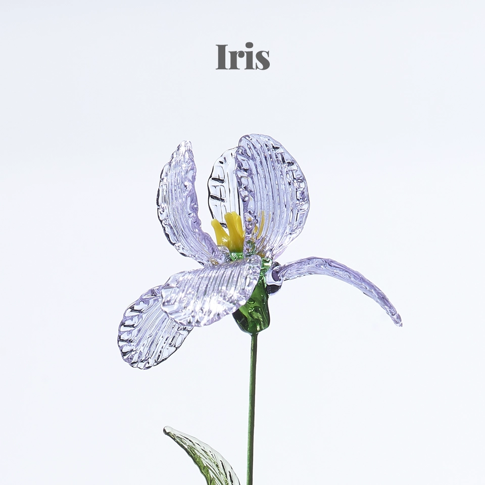 Please select the flower type: Iris
