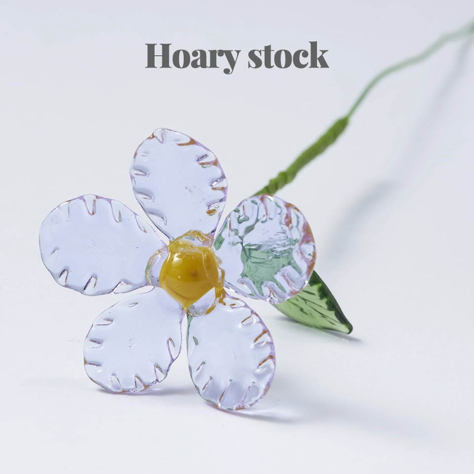 Please select the flower type: Hoary Stock