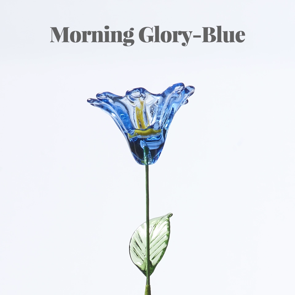 Please select the flower type: Morning Glory-Blue