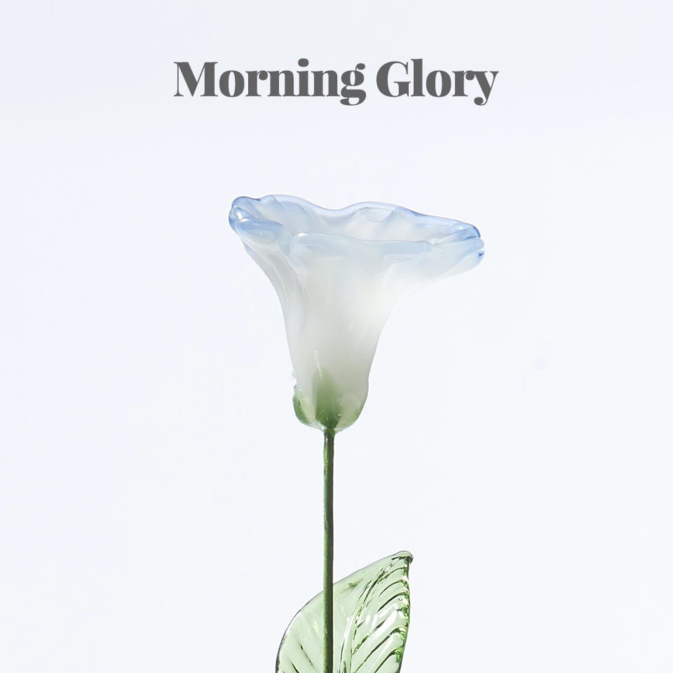 Please select the flower type: Morning Glory
