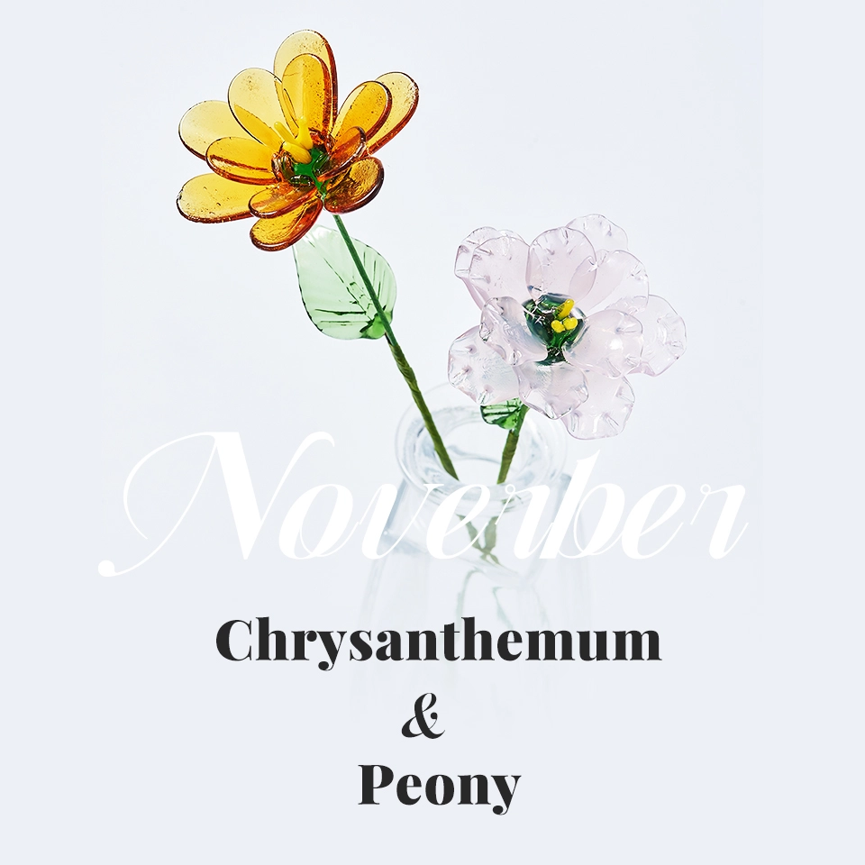 Months: November