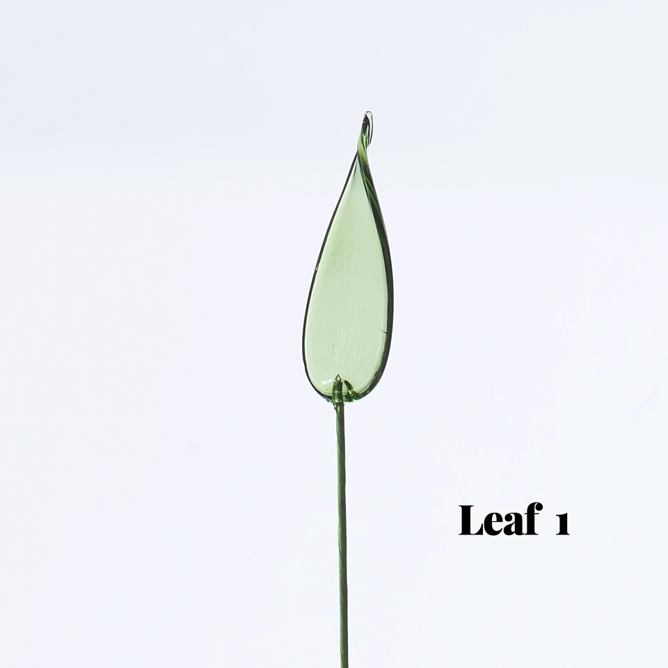 Options: Leaf 1