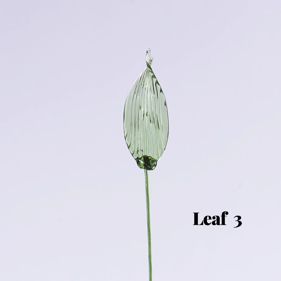 Options: Leaf 3