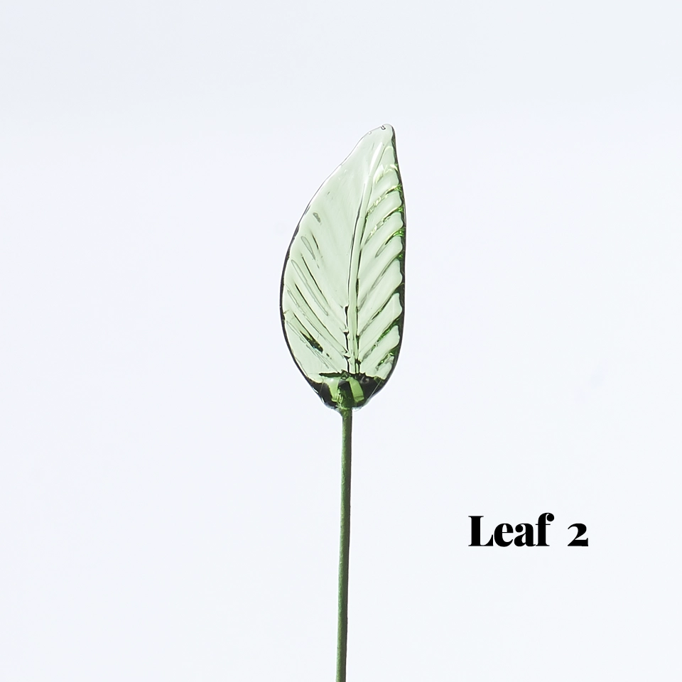 Options: Leaf 2