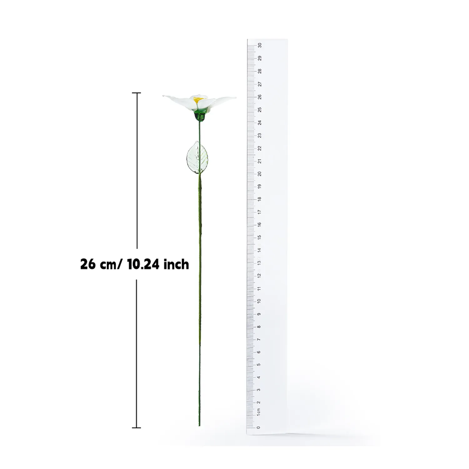 Handcrafted glass daffodil stem measuring 1024 inches tall Handcrafted glass daffodil stem measuring 1024 inches tall