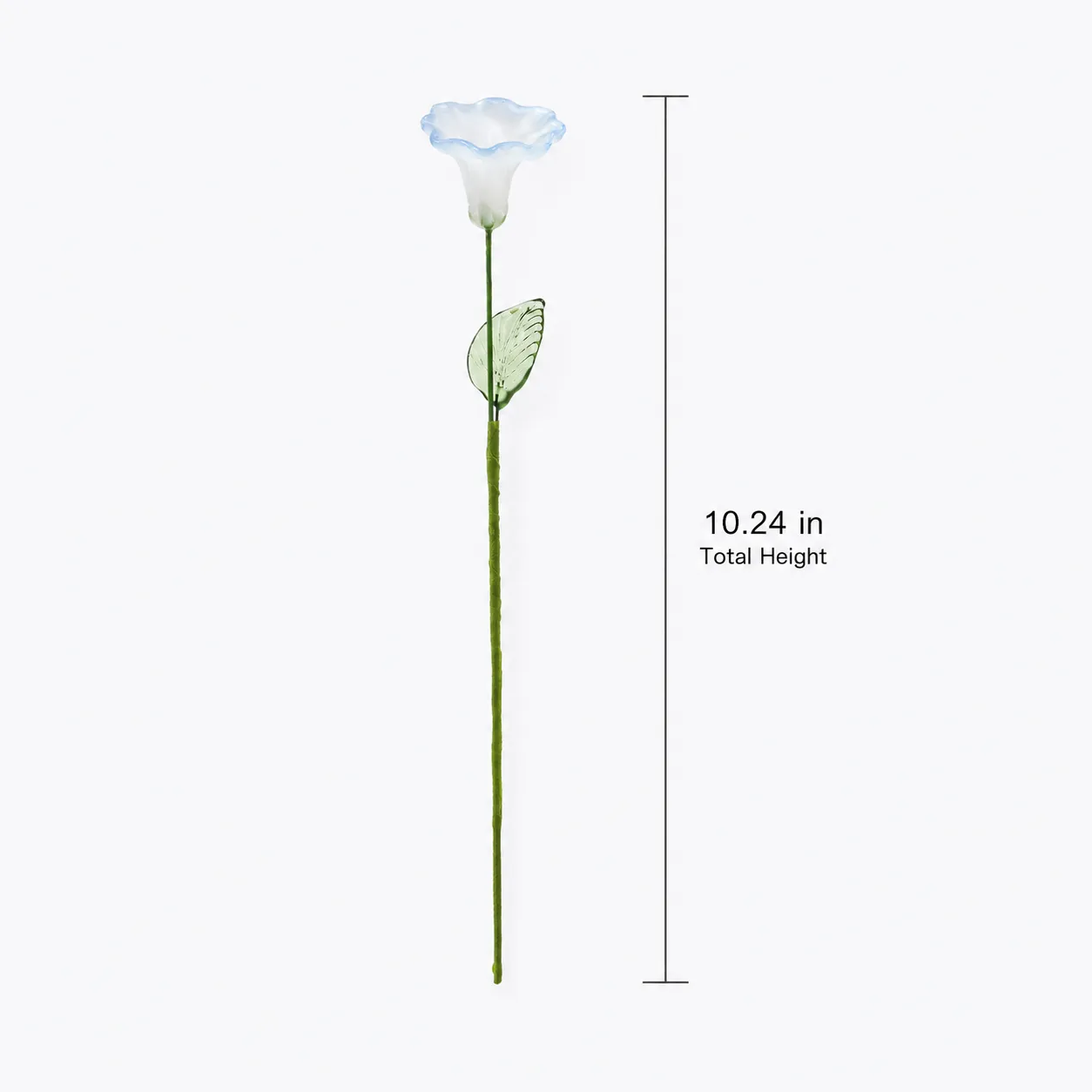 Full length white morning glory glass flower showing 1024 inch total height Full length white morning glory glass flower showing 1024 inch total height
