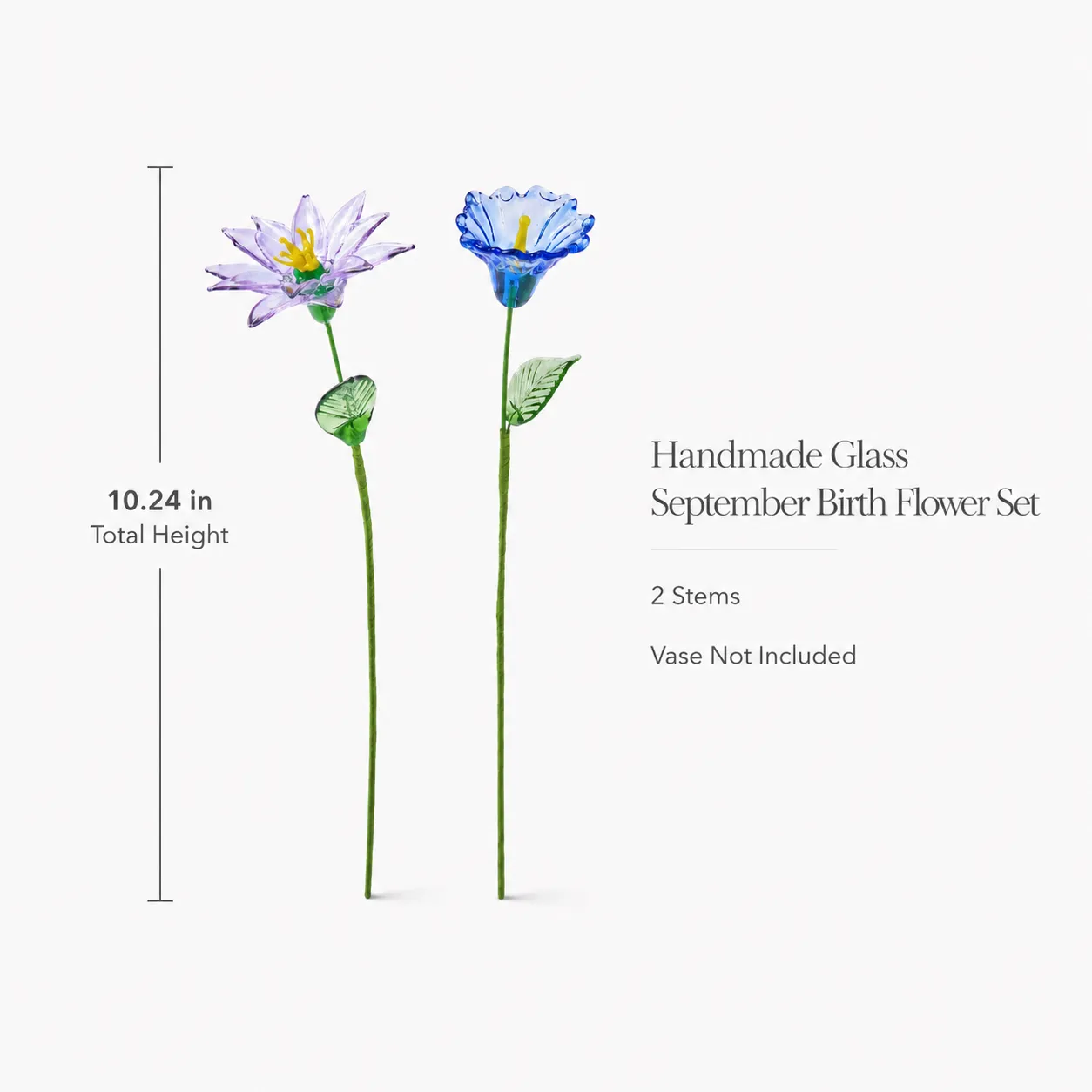 Purple glass aster and blue morning glory displayed in a clear vase on a sunlit windowsill Purple glass aster and blue morning glory displayed in a clear vase on a sunlit windowsill