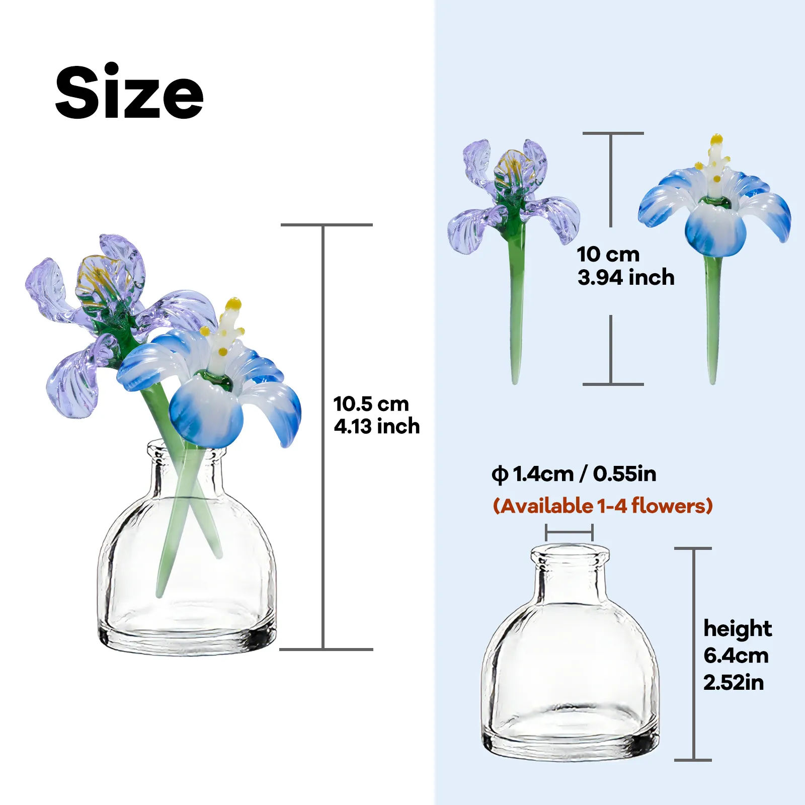 Size guide for two 394 inch mini glass flowers with a 252 inch clear vase