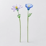 September Birth Flower Handmade Glass Aster & Morning Glory Set – 2-Stem Birthday Gift (4) September Birth Flower Handmade Glass Aster & Morning Glory Set – 2-Stem Birthday Gift (4)