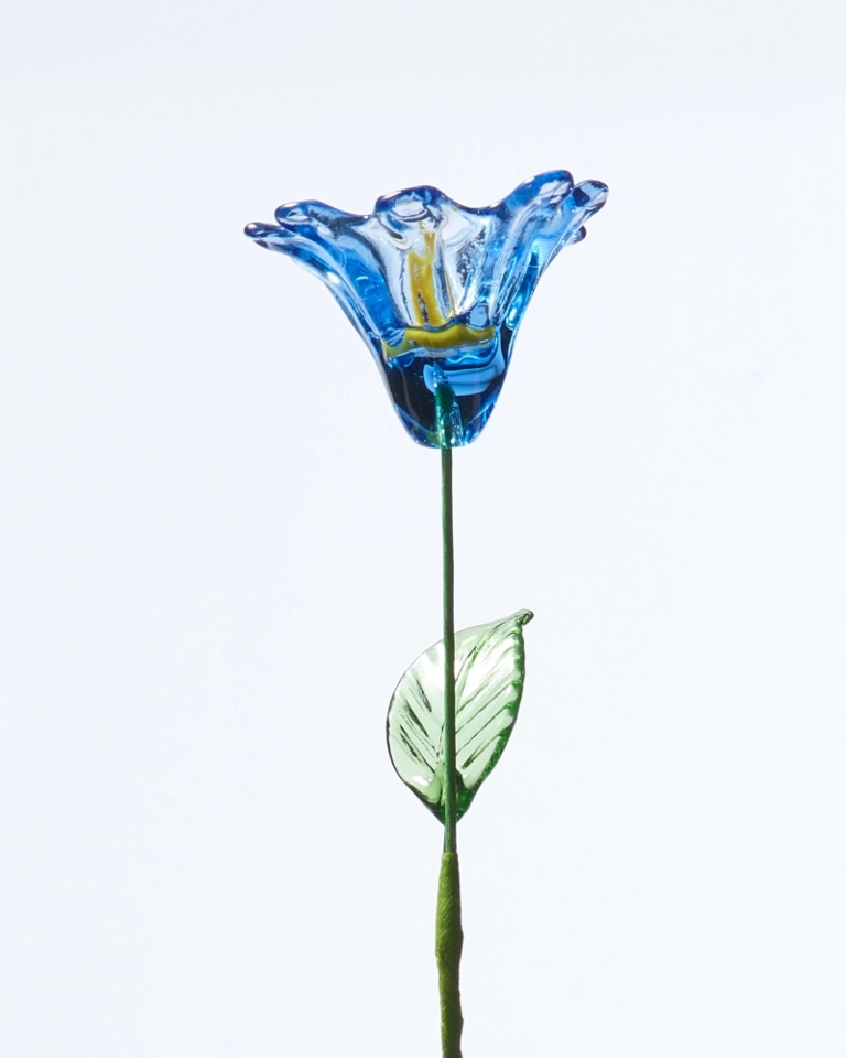 September Birth Flower Morning Glory – Handmade Glass Bloom with Dawn-Inspired Colors, Romantic Keepsake Gift (2) September Birth Flower Morning Glory – Handmade Glass Bloom with Dawn-Inspired Colors, Romantic Keepsake Gift (2)