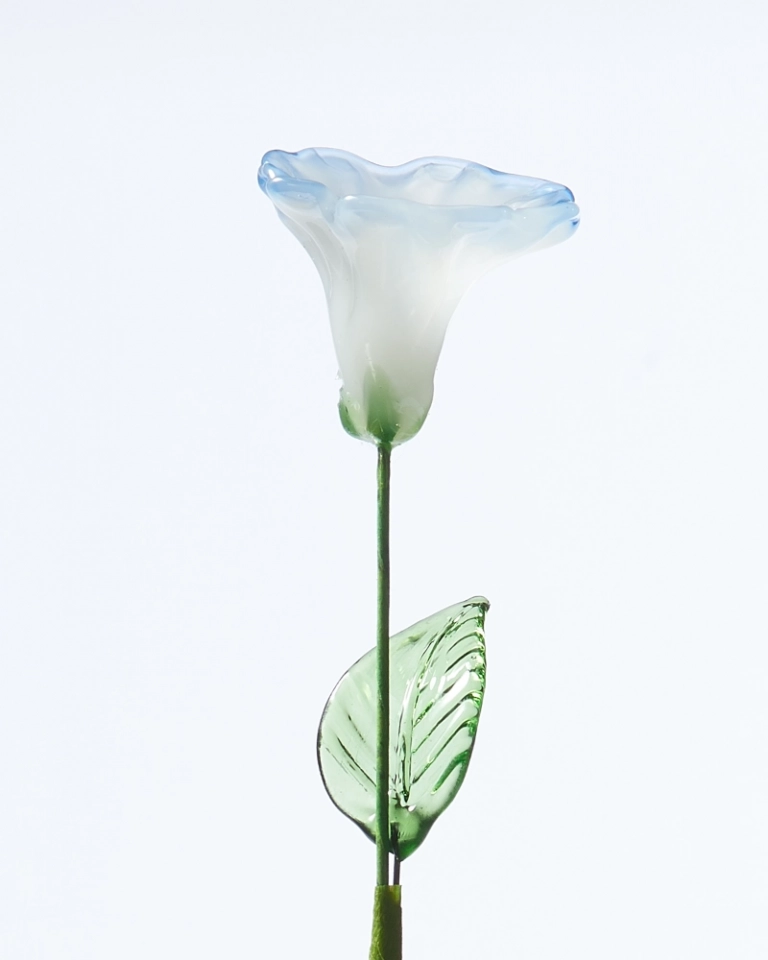 September Birth Flower Morning Glory – Handmade Glass Bloom with Dawn-Inspired Colors, Romantic Keepsake Gift (4)